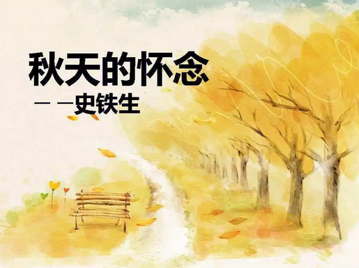 史铁生《秋天的怀念》原文
