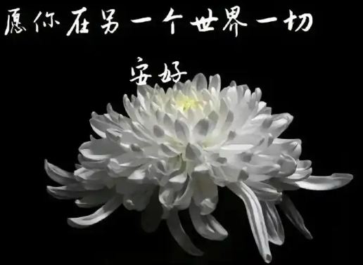 朱自清《给亡妇》原文赏析
